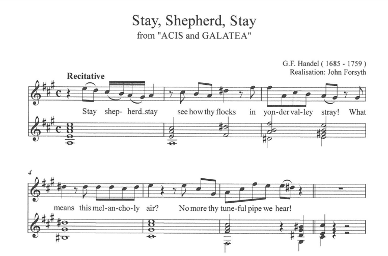 Stay Shepherd Stay